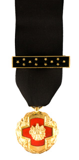 MEDAL OF HONOR POSTHUMOUS-Somes